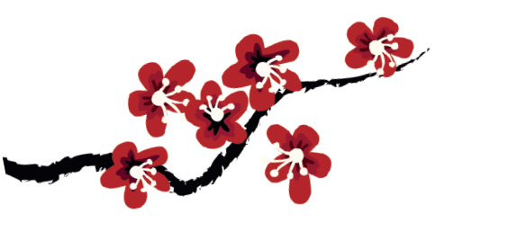 ViShiatsu, Bien-être et prévention 2 - ViShiatsu sakura mini r