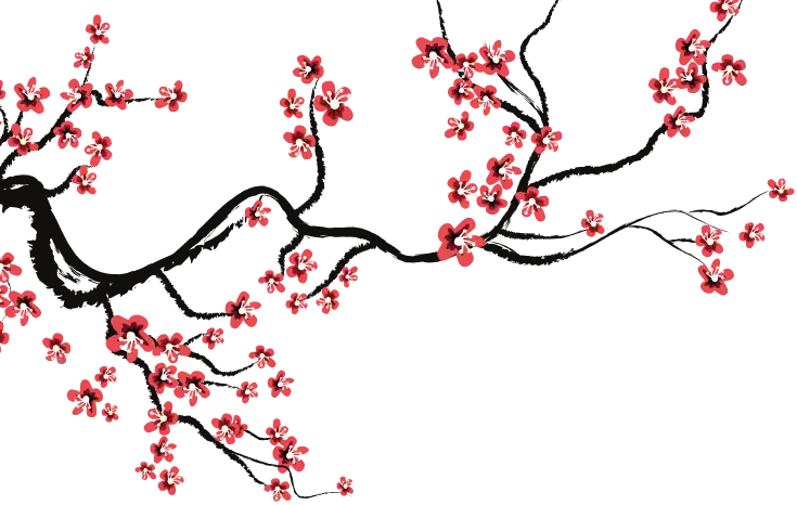sakura